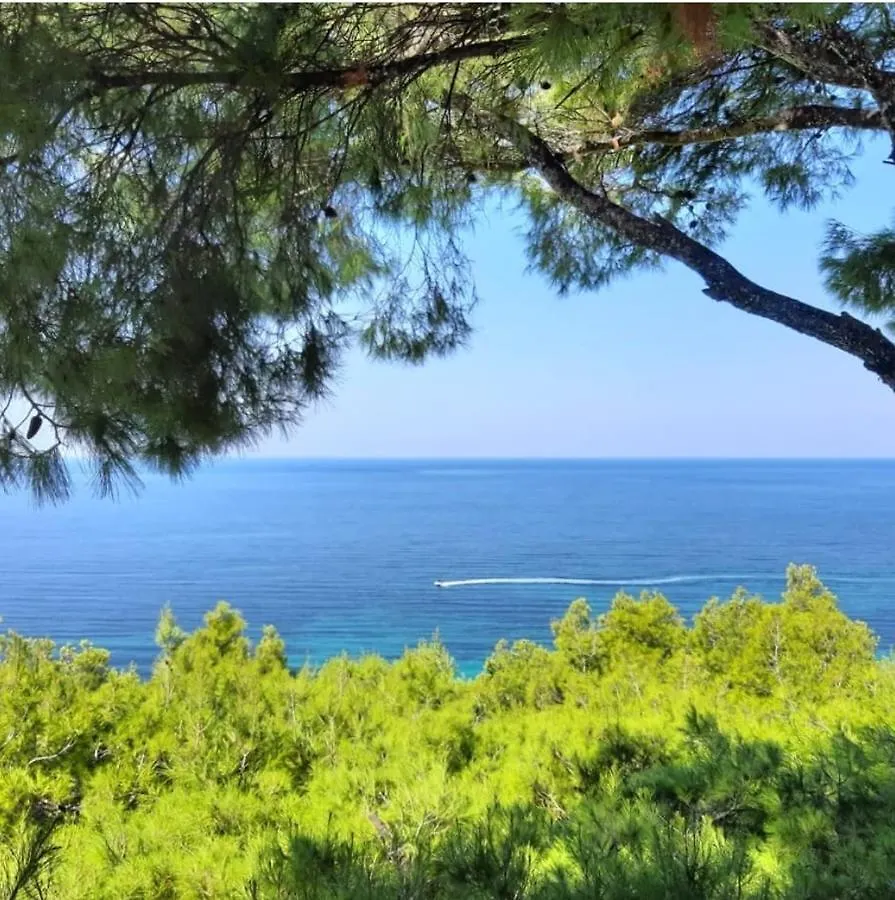 Holiday home Sani Beach Gallery Villa, Your Next Family Vacation!