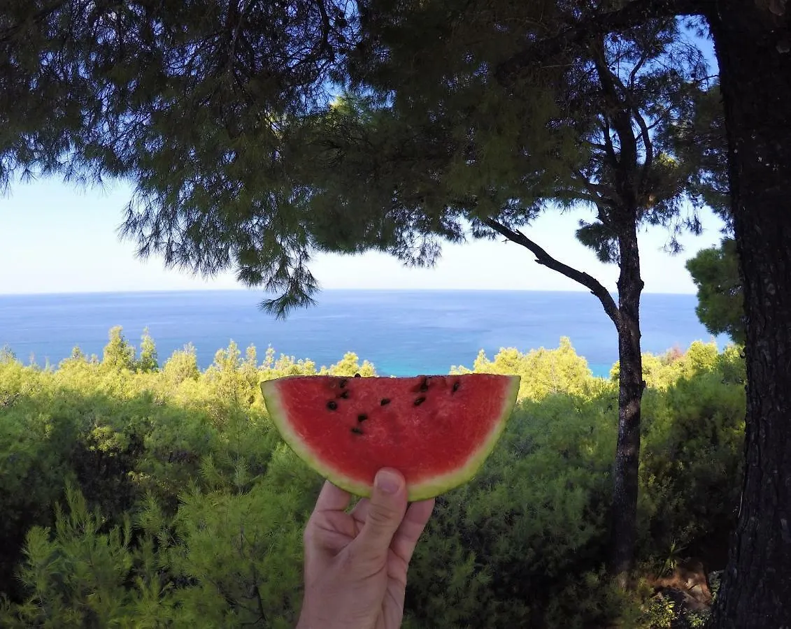 Holiday home Sani Beach Gallery Villa, Your Next Family Vacation!